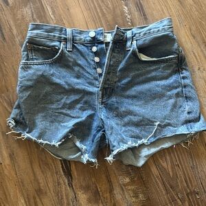 AGOLDE Parker Long Short Loose Vintage in Skywave size 26